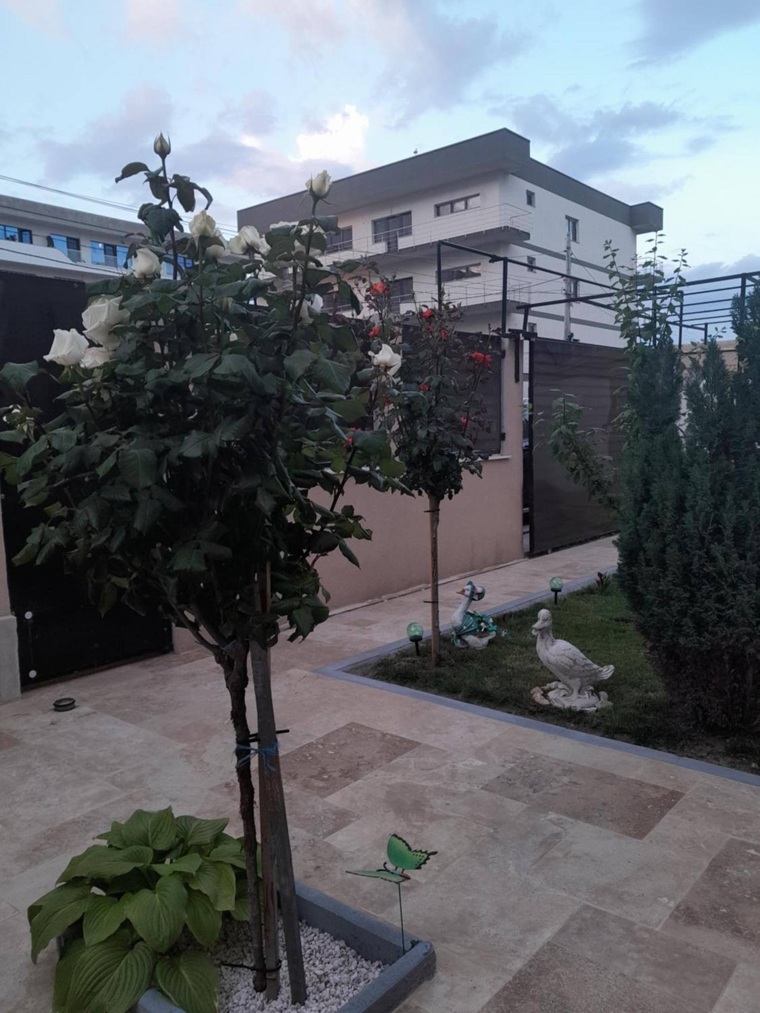 Casa Andrei Apartment นาโวดาริ ภายนอก รูปภาพ
